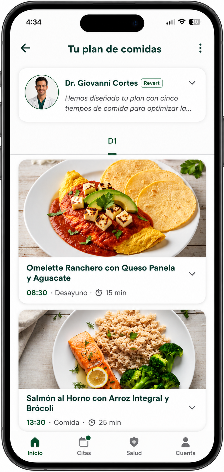 Plan de alimentación